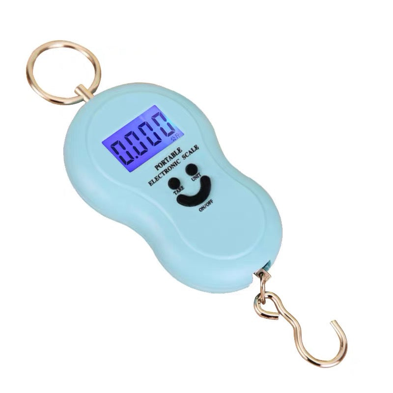 Pocket Spring Portable Weight Scale | Cute Portable Scale