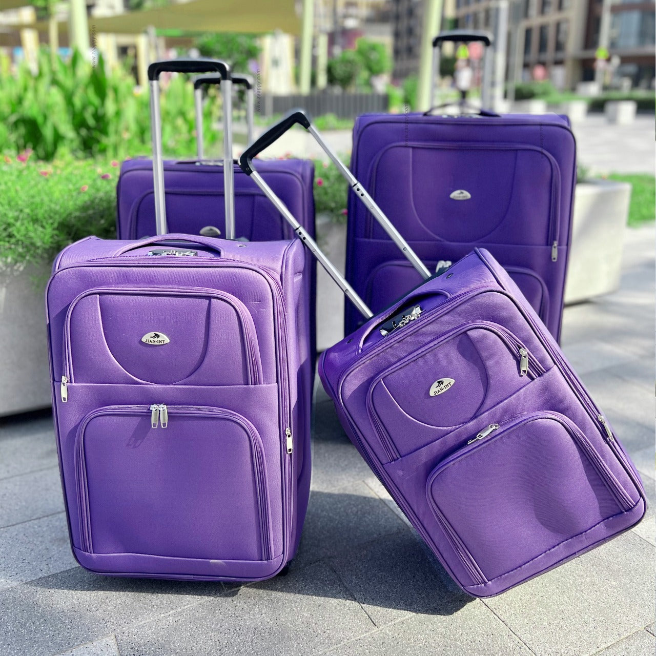two wheel material luggage purple Zaappy