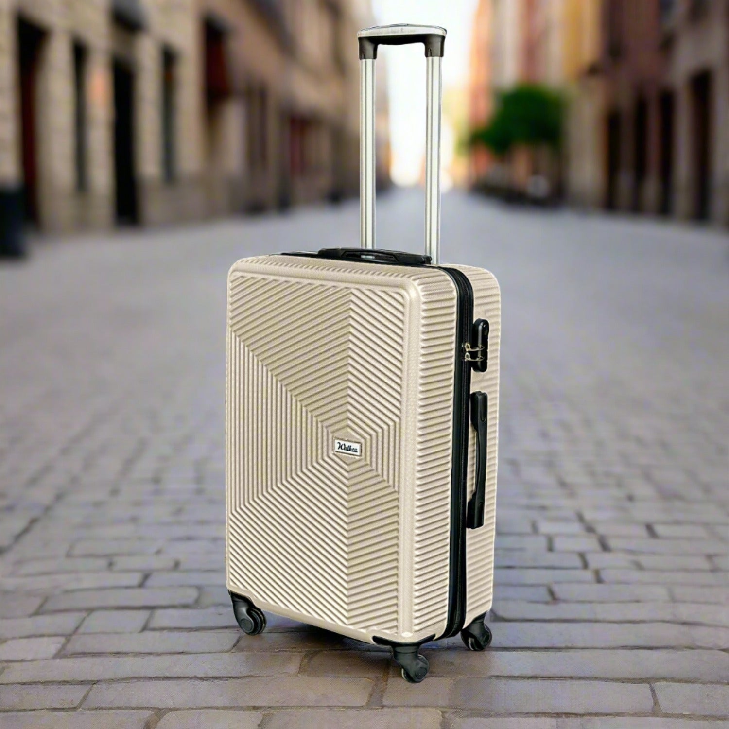 24 Inches Venice ABS Lightweight Luggage Bags with Spinner Wheels Zaappy