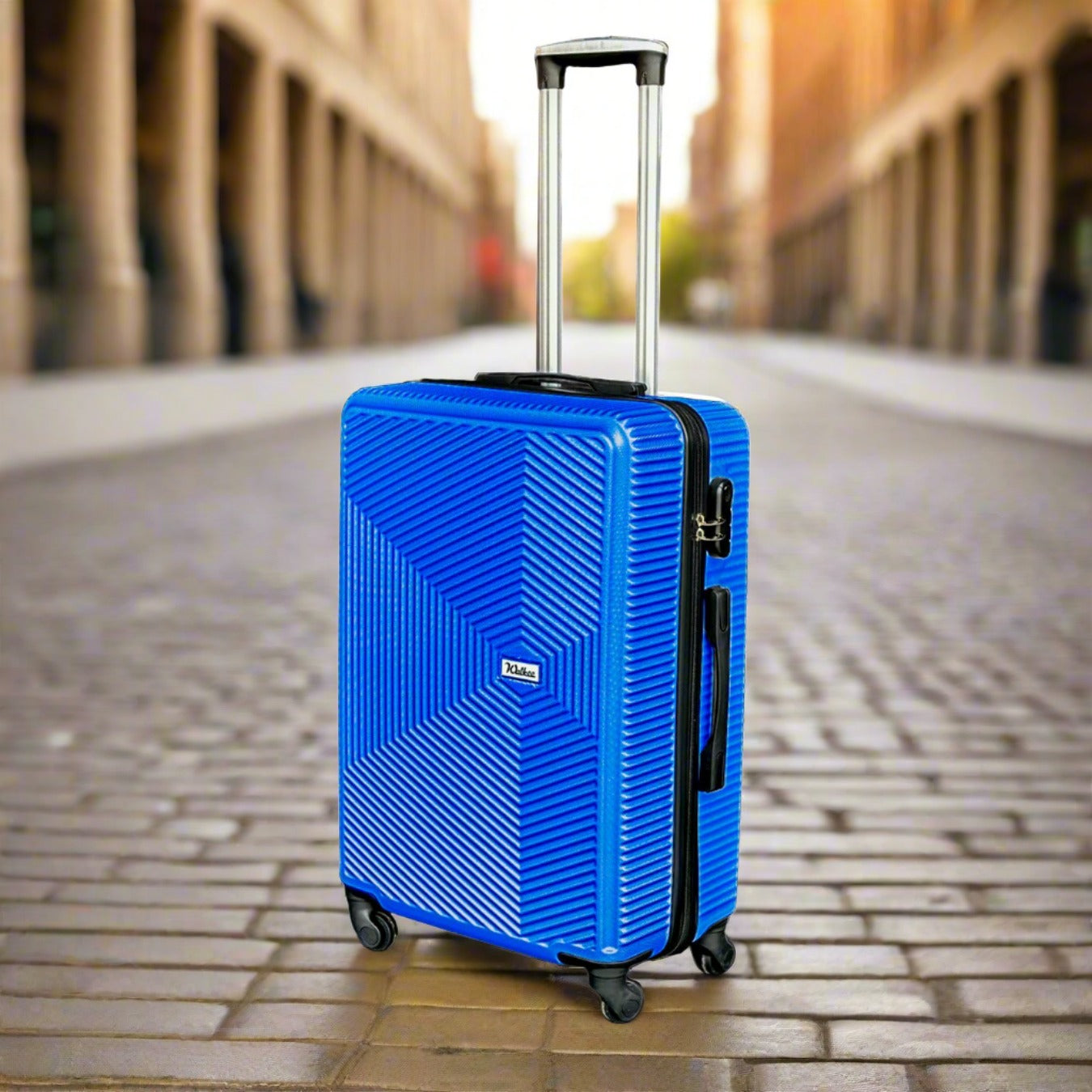 24 Inches Venice ABS Lightweight Luggage Bags with Spinner Wheels Zaappy