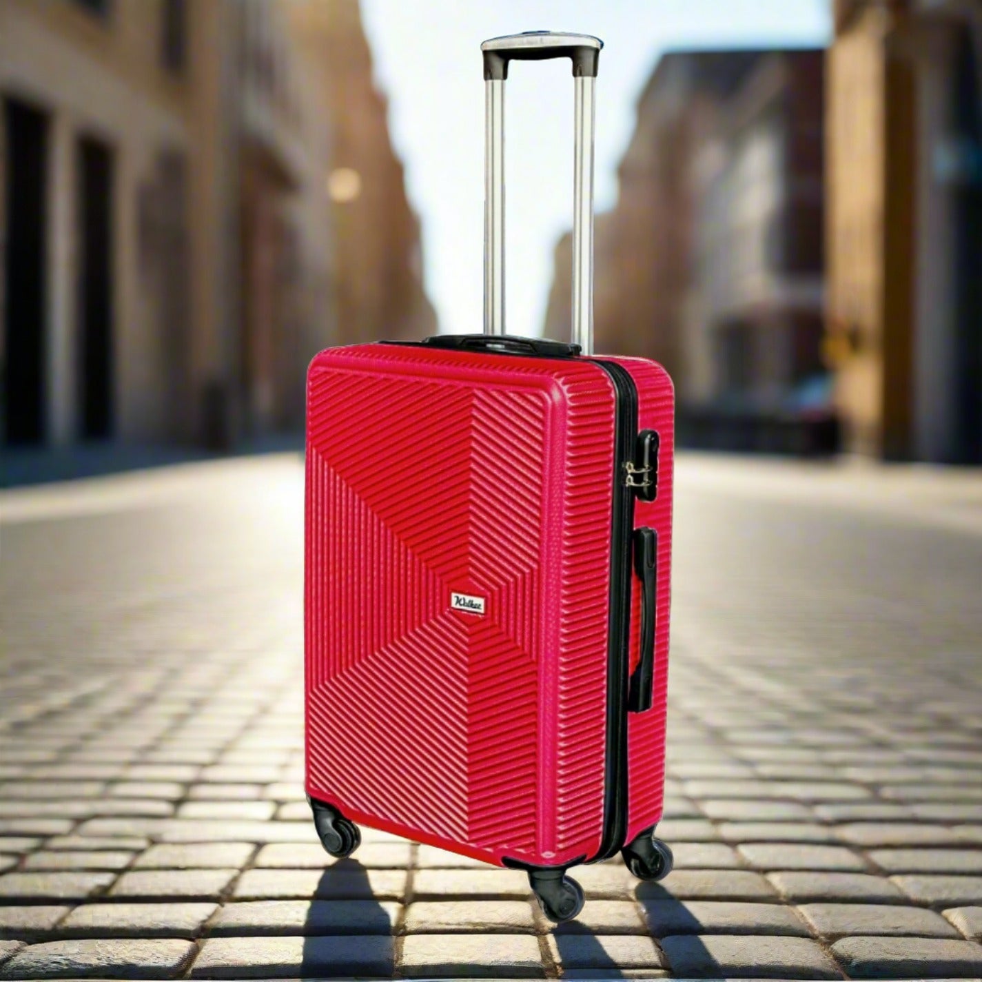 24 Inches Venice ABS Lightweight Luggage Bags with Spinner Wheels Zaappy