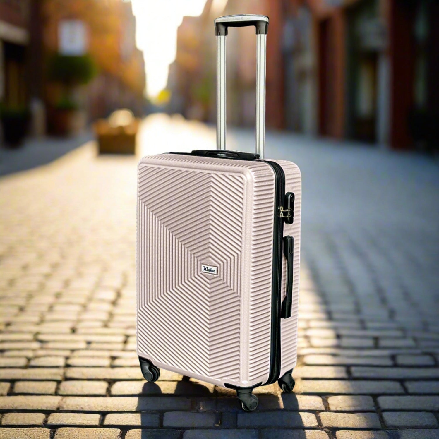 24 Inches Venice ABS Lightweight Luggage Bags with Spinner Wheels Zaappy