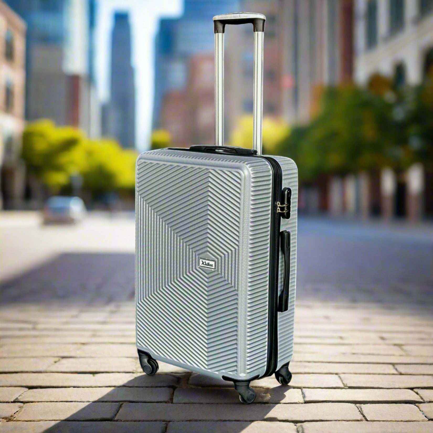 24 Inches Venice ABS Lightweight Luggage Bags with Spinner Wheels Zaappy