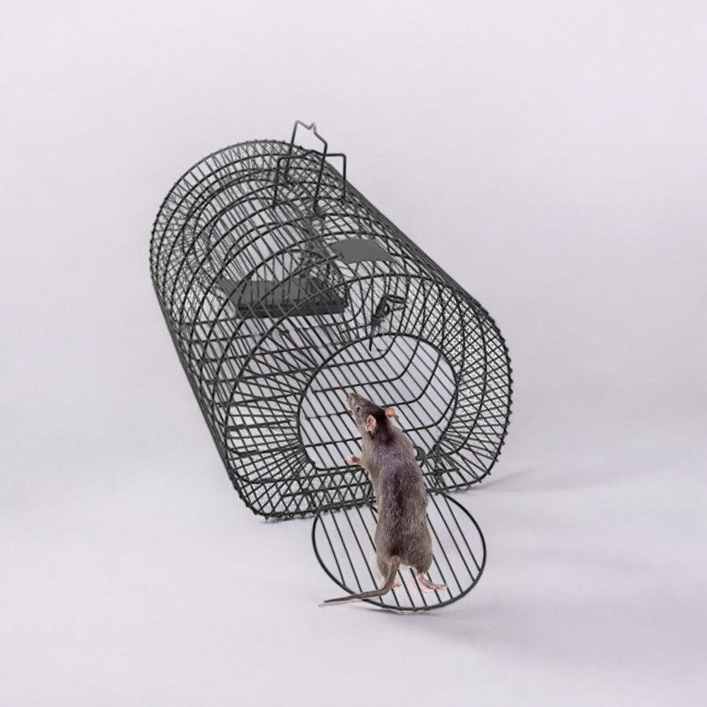 Live Rat Trap Cage | Reusable Rodent Catcher for Mice and Small Animals