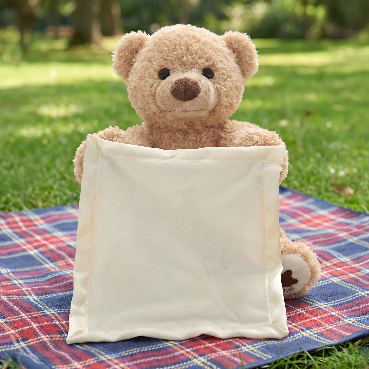 Peek a Boo Bear Play Toy | Kids Friendly
