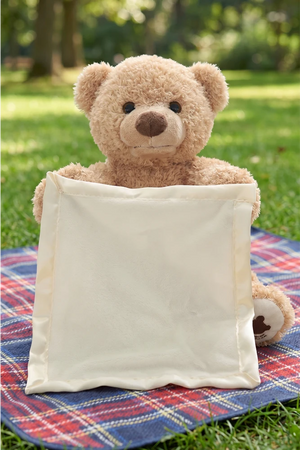 Peek a Boo Bear Play Toy | Kids Friendly