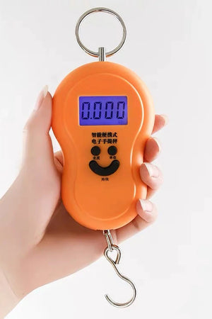Pocket Spring Portable Weight Scale | Cute Portable Scale