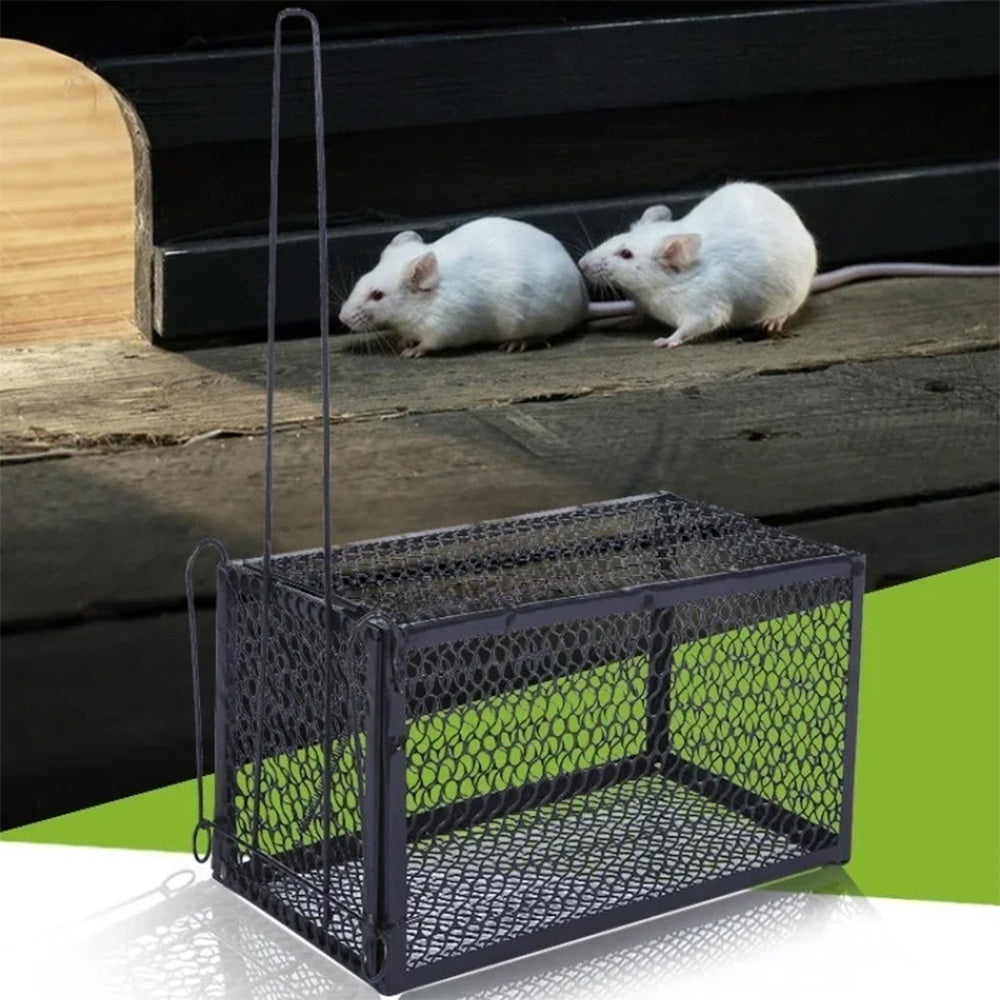 Mice Catching Box Buy Self-locking Trap Catcher Mouse Rat Bait Mice Live Box – Zaappy.com