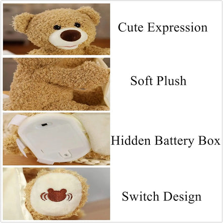 Peek a Boo Bear Play Toy | Kids Friendly