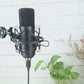 Professional Studio Recording Microphone BM 800 | V8 Live Sound Card Combo | Free Head Set
