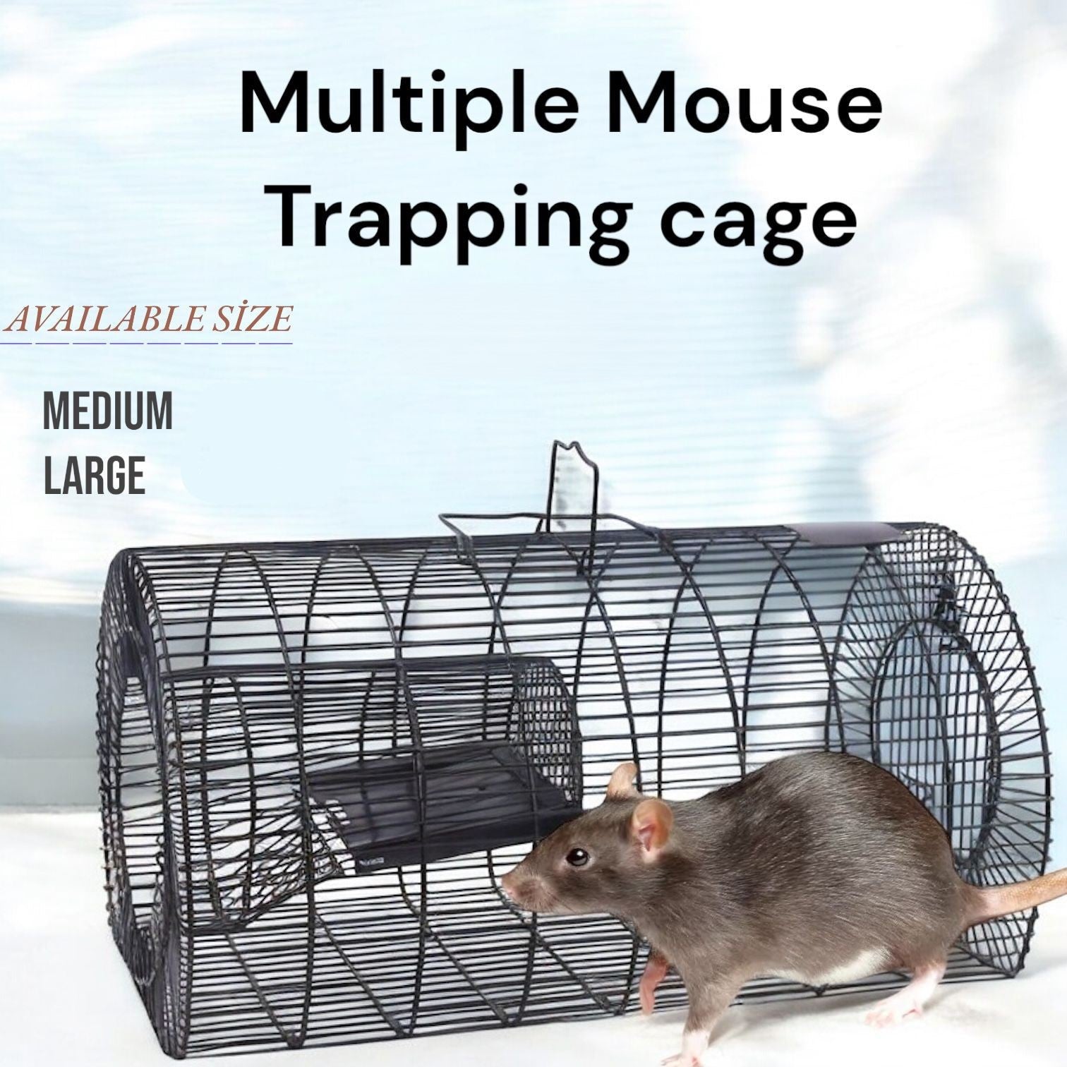 Live Rat Trap Cage | Reusable Rodent Catcher for Mice and Small Animals