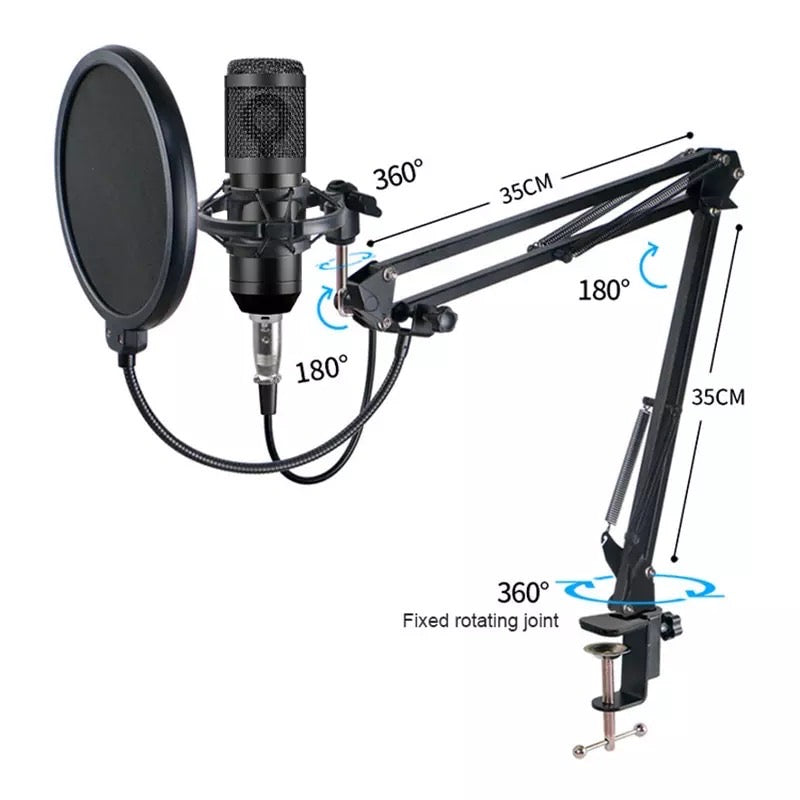 Professional Studio Recording Microphone BM 800 | V8 Live Sound Card Combo