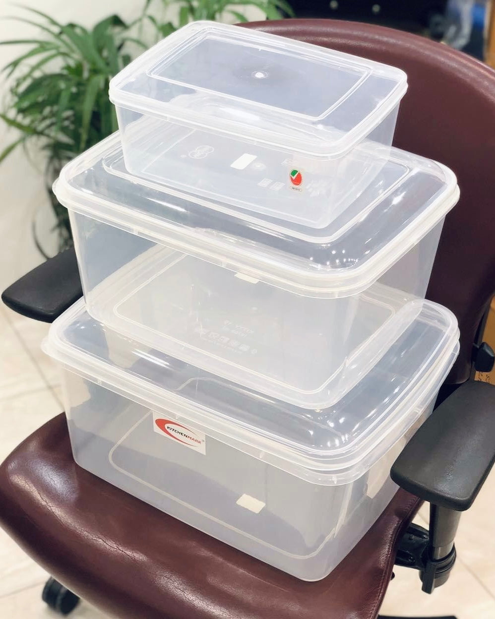 Disposable Box Square Thick Square Disposable Container Box – Zaappy.com