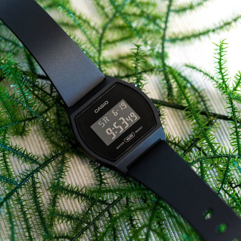 Casio 5349 online